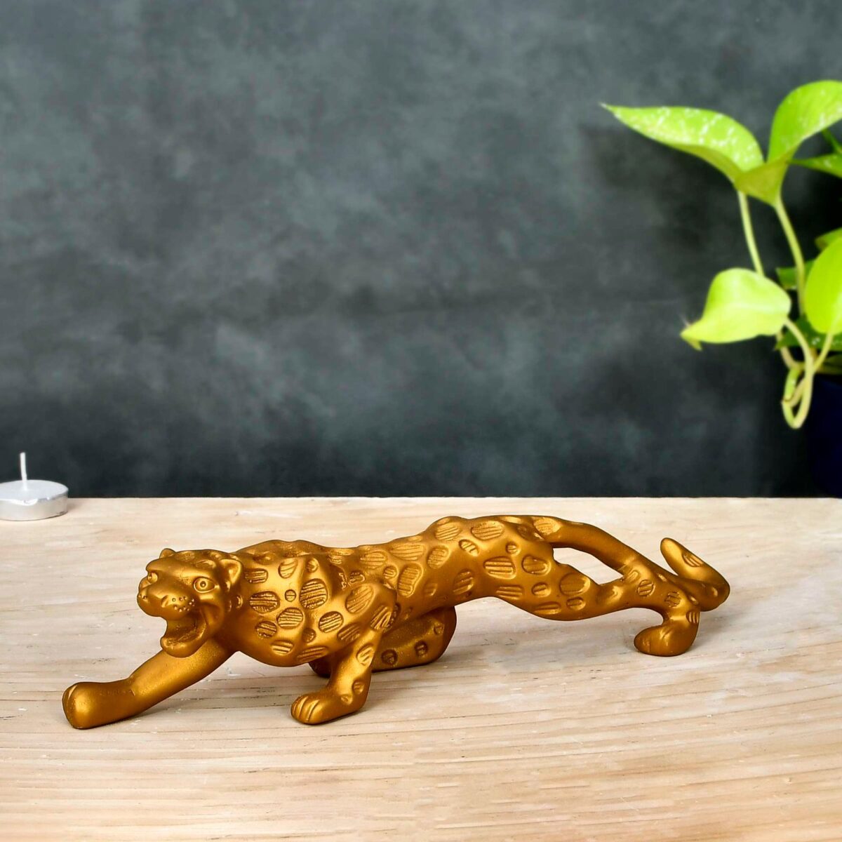 Panther - Image 3